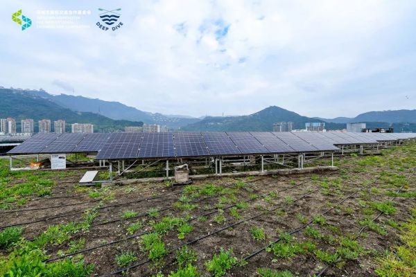 1675736661372626.jpg 12.jpg