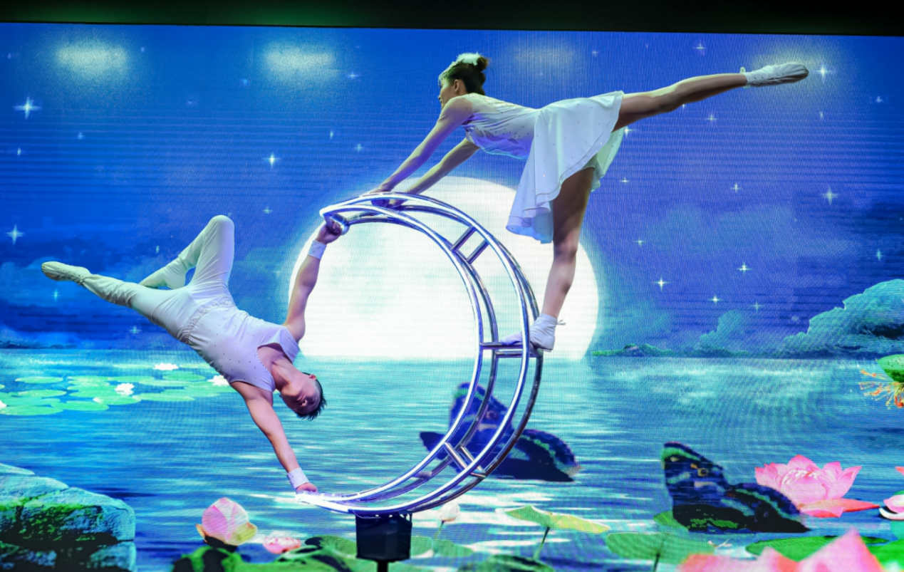 1677212504629976.png 1677212504629976.png