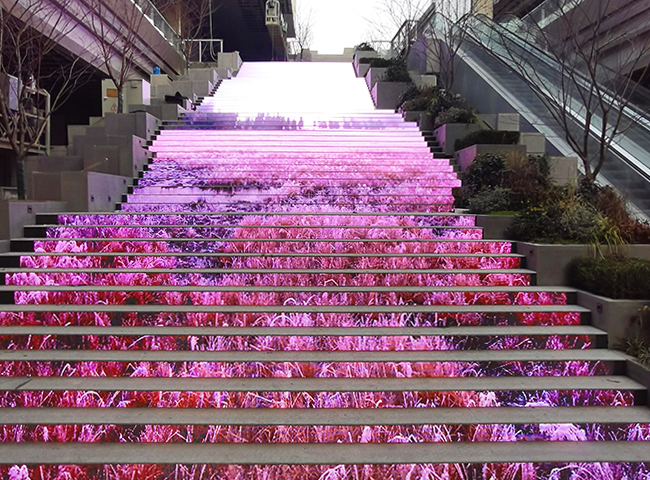 1682402994340485.png 1682402994340485.png