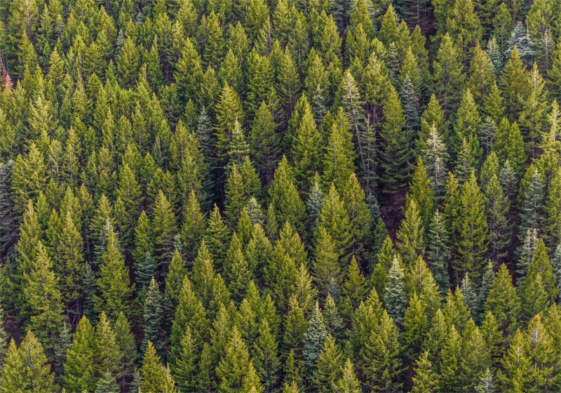 1700443327136176.jpg 001.jpg