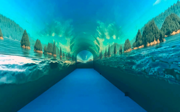 1734573508864958.png 002_副本.png