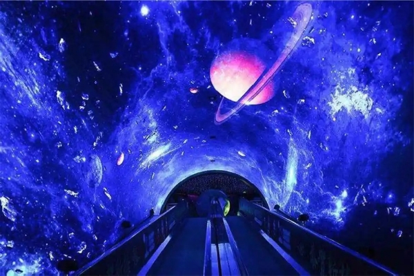 1734573552775600.jpg 005_副本.jpg