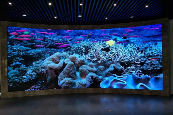 1766562006174760.jpg 4.jpg