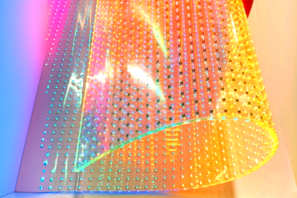 1768553937456654.png 2-2.png