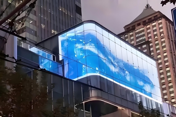 1768553968694365.jpg 3-3.jpg