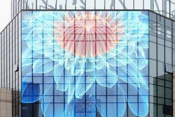 1768553975264830.jpeg 4.jpeg